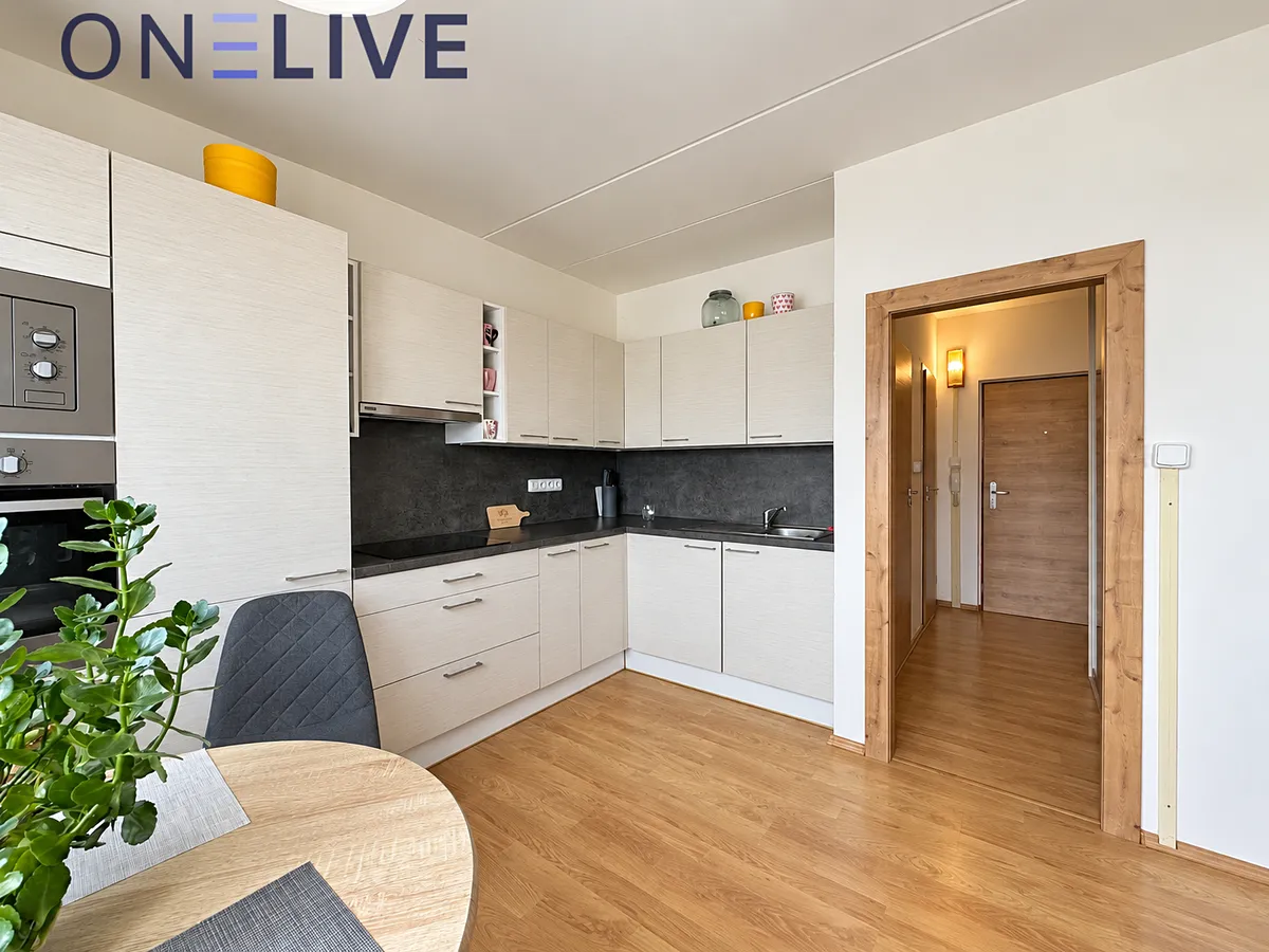 Pronájem bytu 1+1 39 m²